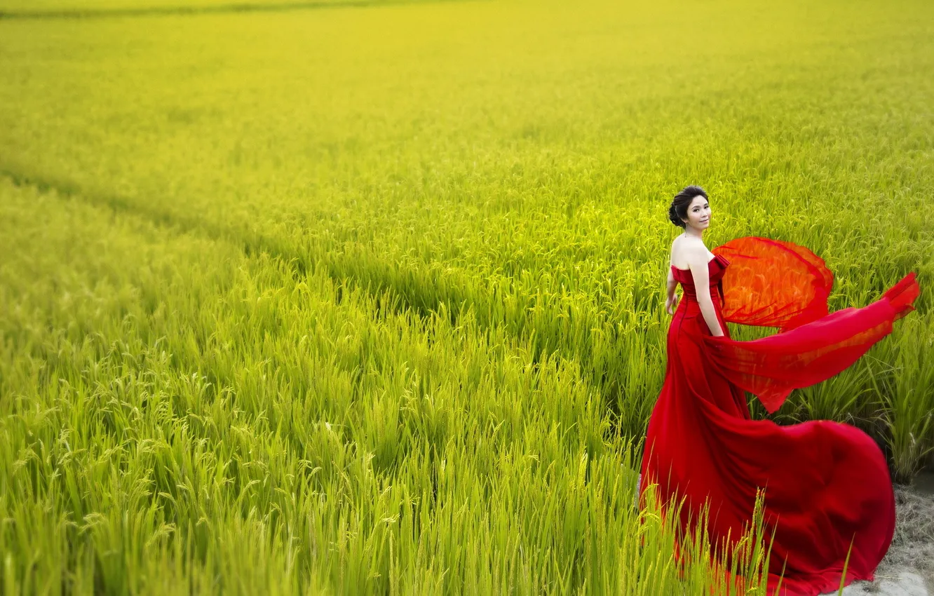 Photo wallpaper field, girl, nature