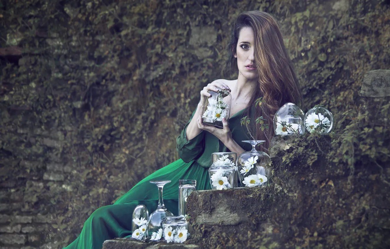 Photo wallpaper chamomile, Bank, kopeck piece