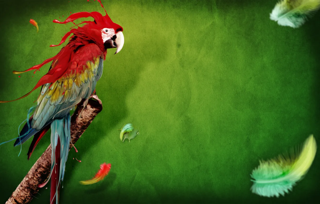 Photo wallpaper background, paint, feathers, parrot
