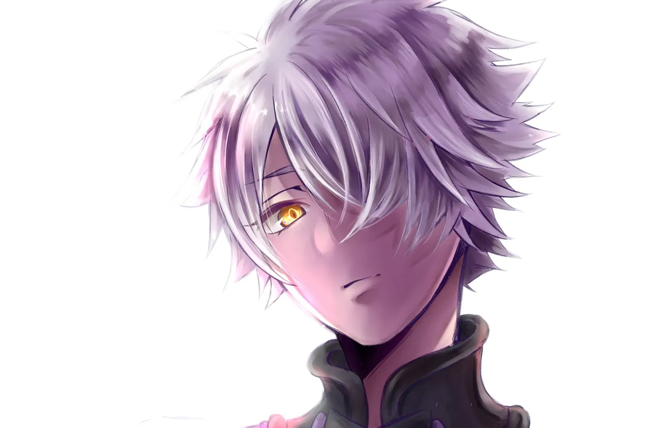 Photo wallpaper look, anime, art, guy, Fate Grand Order, The destiny of a great campaign