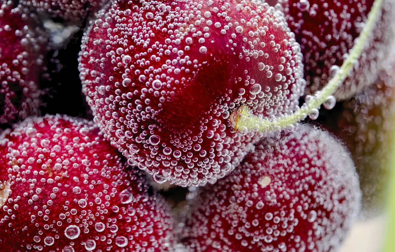 Photo wallpaper water, macro, bubbles, cherry, berries, cherry