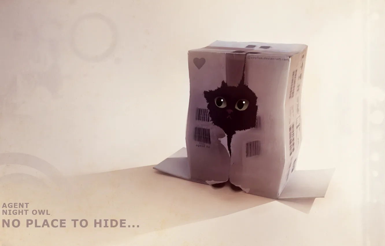 Photo wallpaper kitty, box, figure, hole, hiding, apofiss, agent night owl