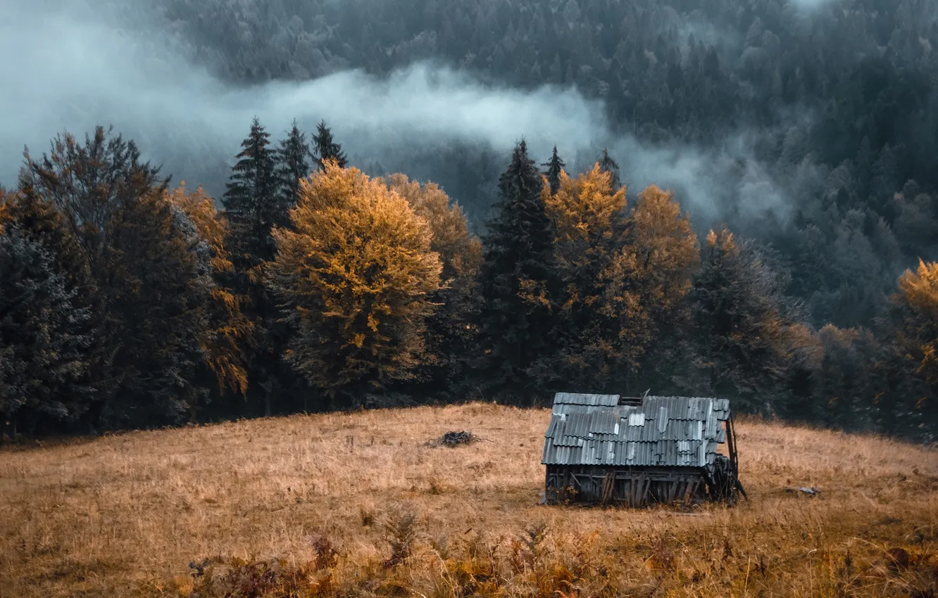 Photo wallpaper old, fog, trees, the barn, roof, smoke, house, haze