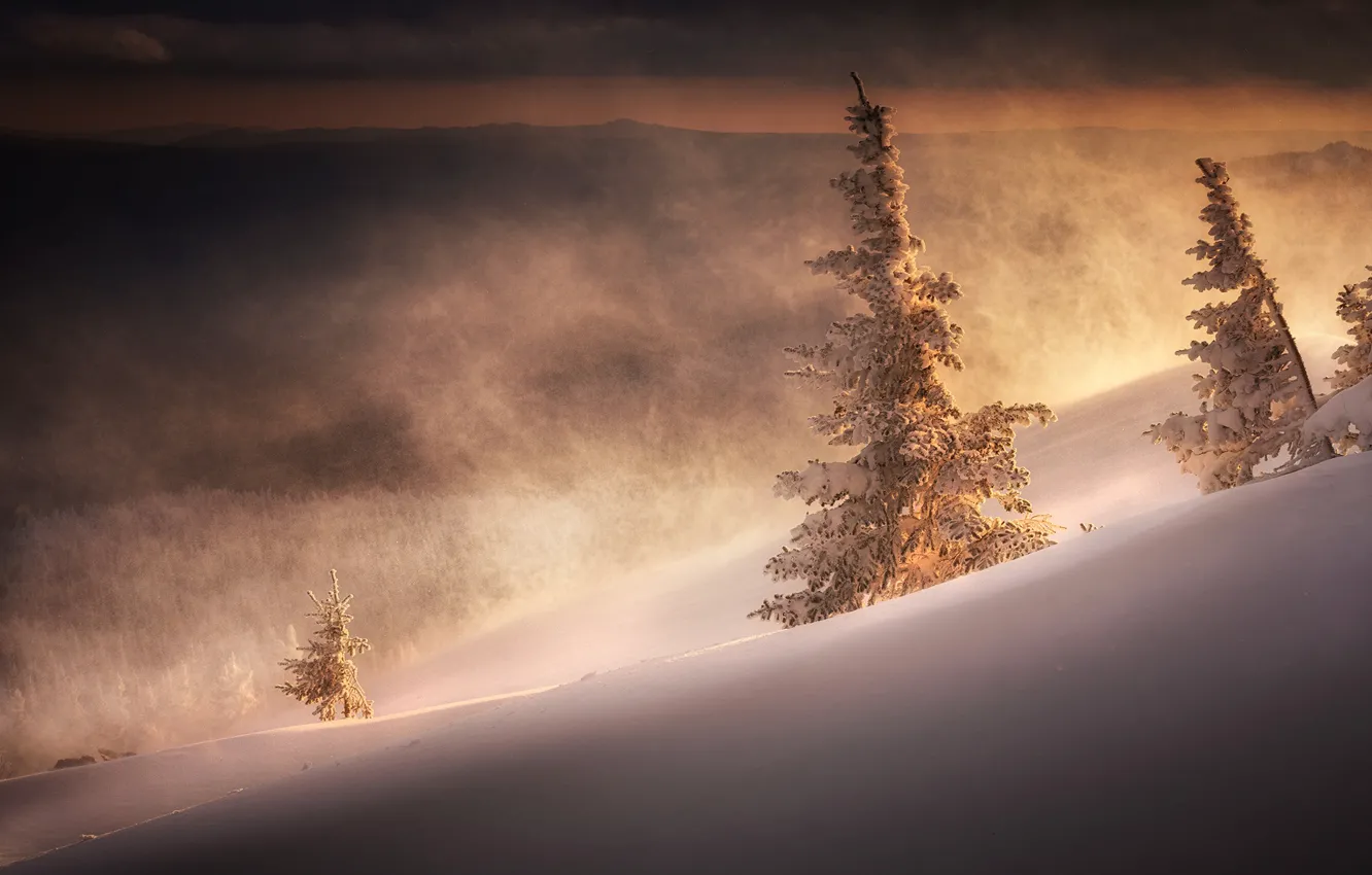 Photo wallpaper winter, frost, forest, light, snow, mountains, nature, fog
