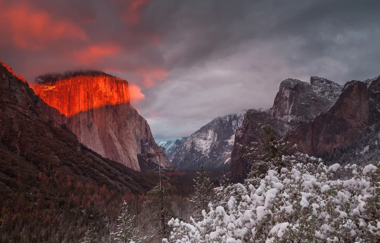 Photo wallpaper Illumination, Yosemite National Park, The Captain