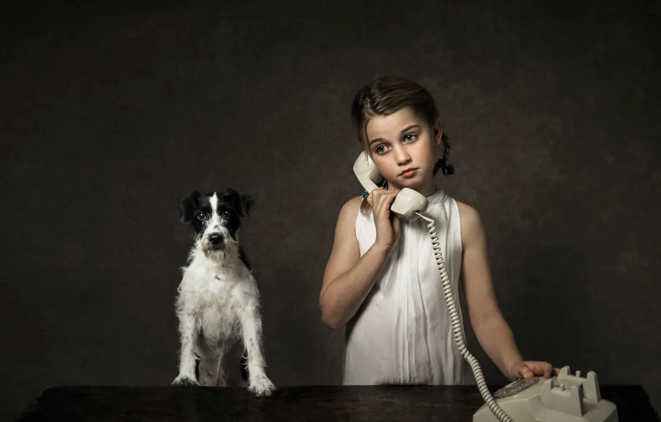 Photo wallpaper dog, girl, phone