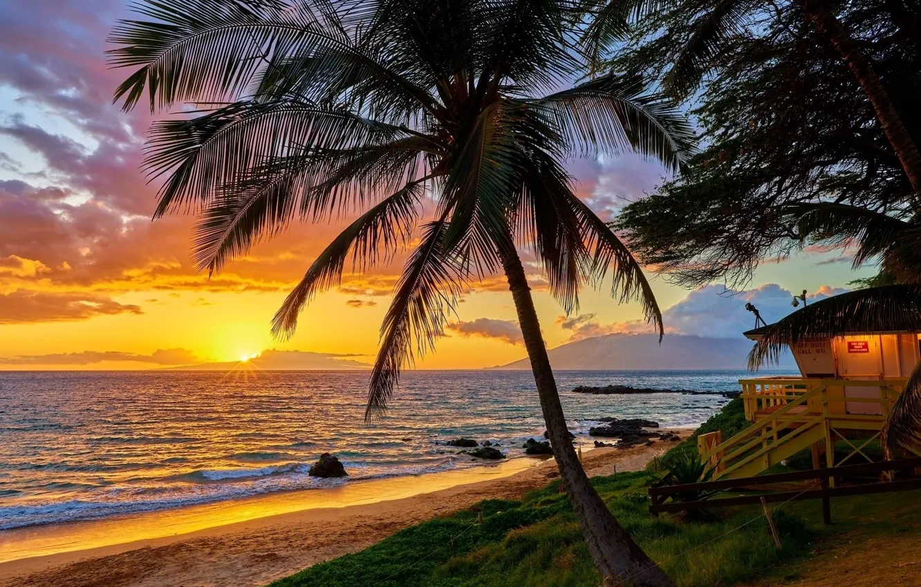 Photo wallpaper summer, sunset, holiday, hawaii, palm tree