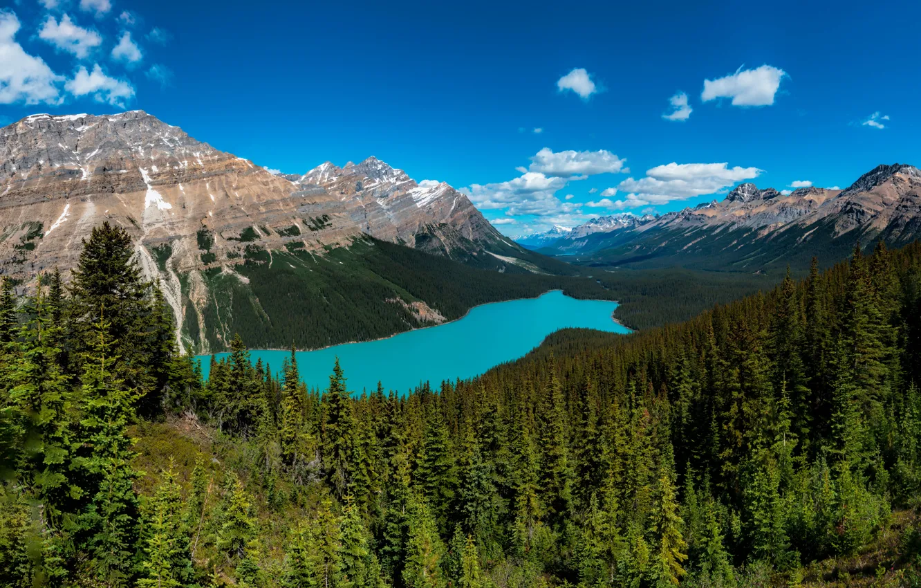 Photo wallpaper forest, clouds, mountains, lake, blue, rocks, view, height