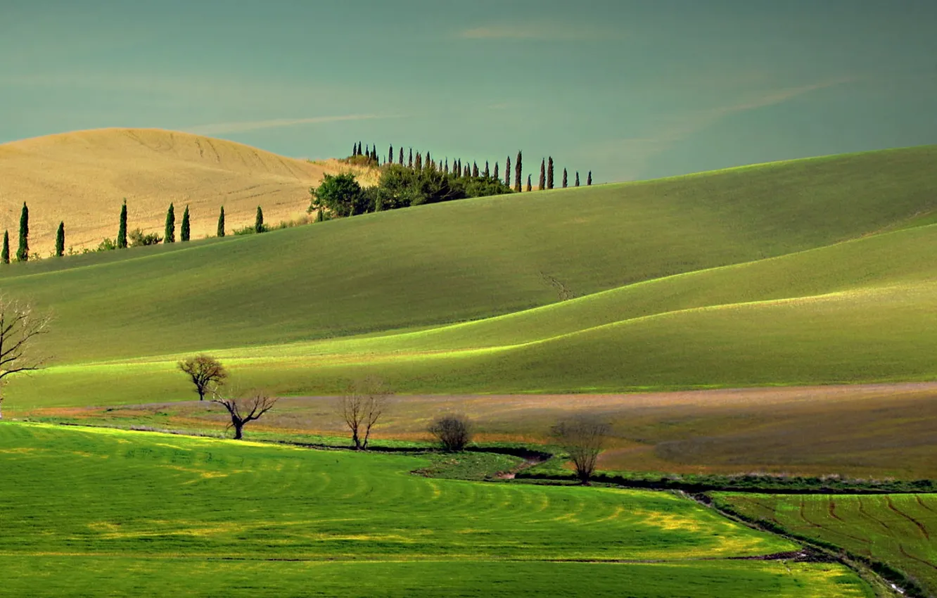 Photo wallpaper field, hills, Italy, Tuscany