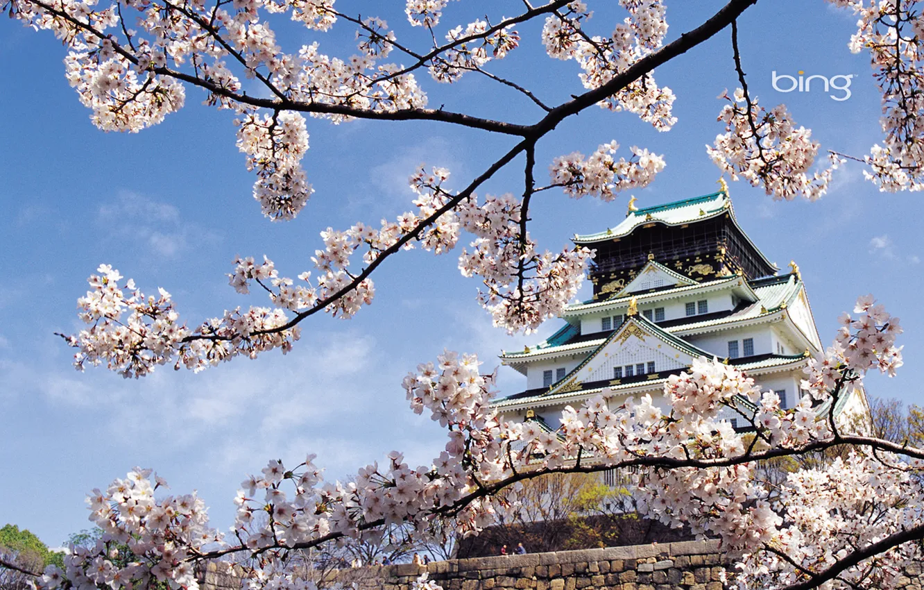 Photo wallpaper landscape, flowers, spring, temple