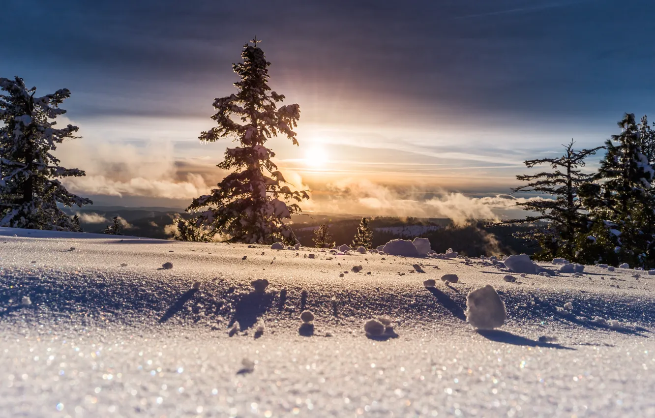Photo wallpaper winter, forest, the sky, the sun, clouds, rays, light, snow
