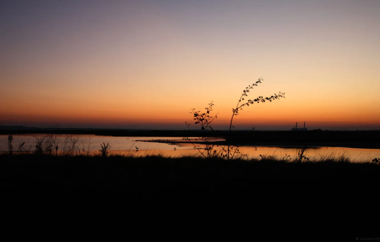 Photo wallpaper the sky, sunset, river, plant, the evening, horizon