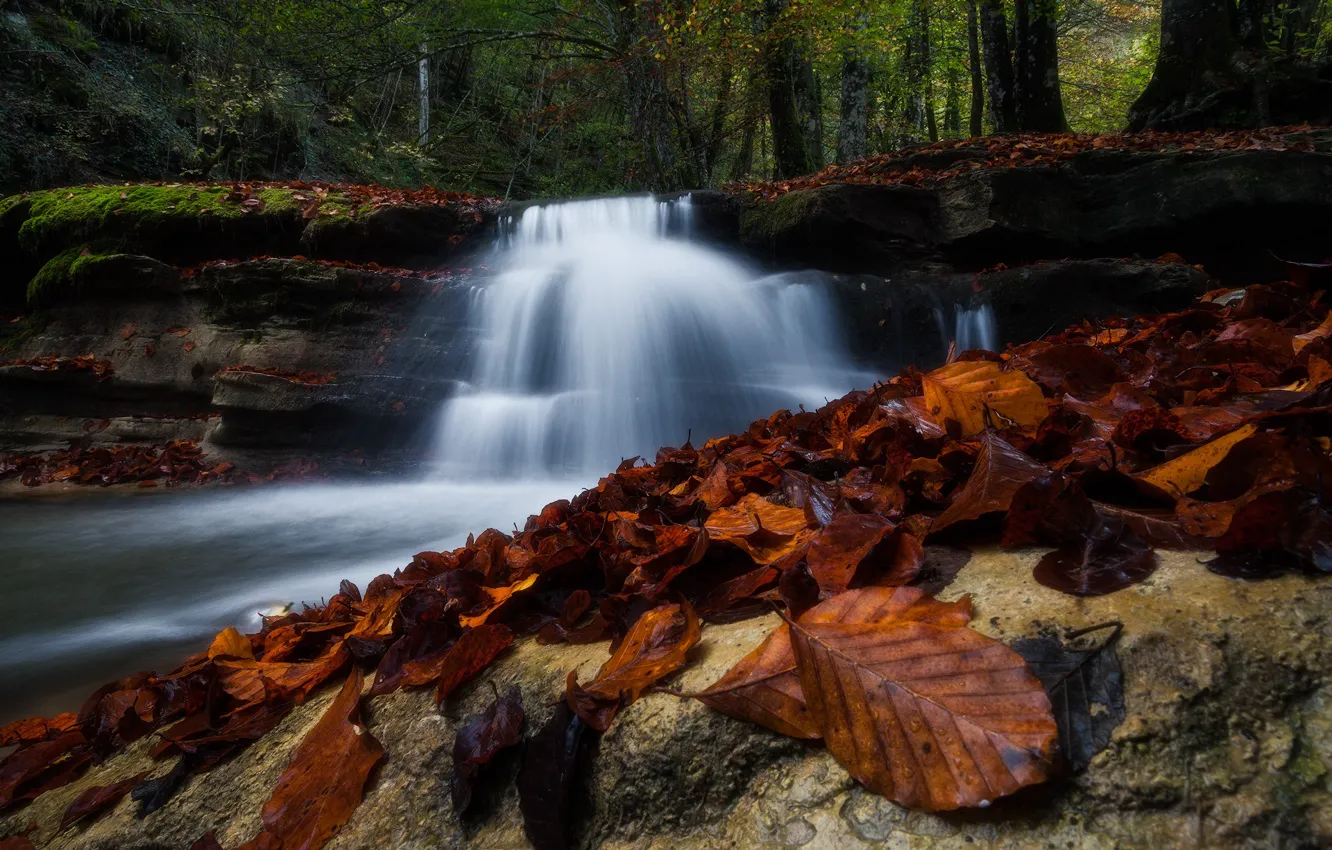 Photo wallpaper autumn, forest, stones, rocks, shore, foliage, waterfall, stream