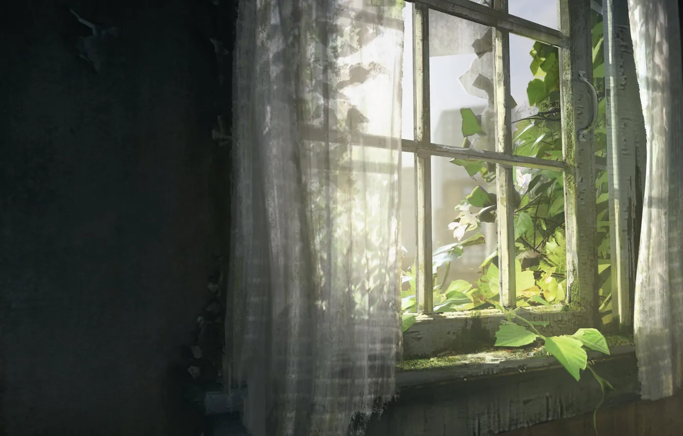 Photo wallpaper summer, childhood, home, window, art, leaf, curtains