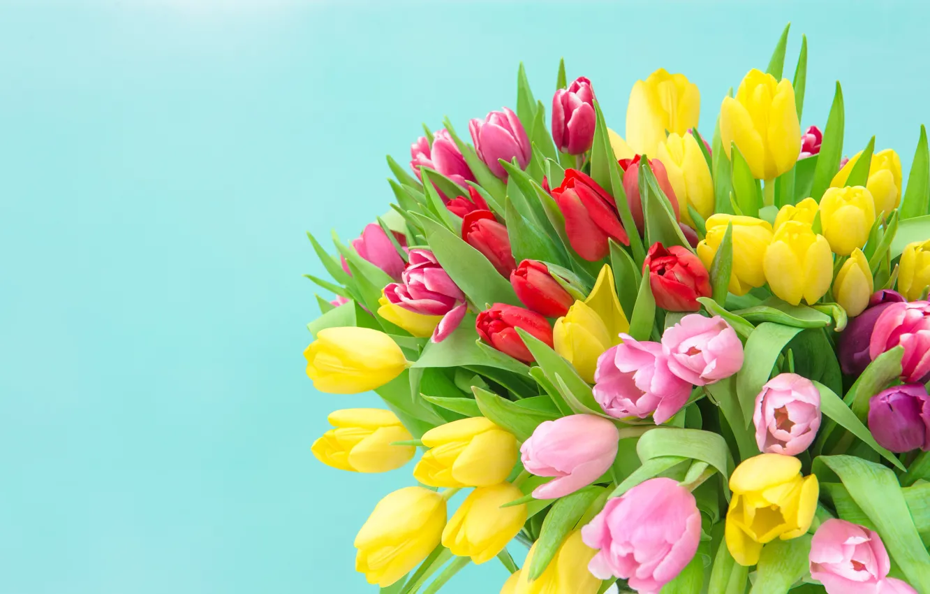 Photo wallpaper bouquet, colorful, tulips