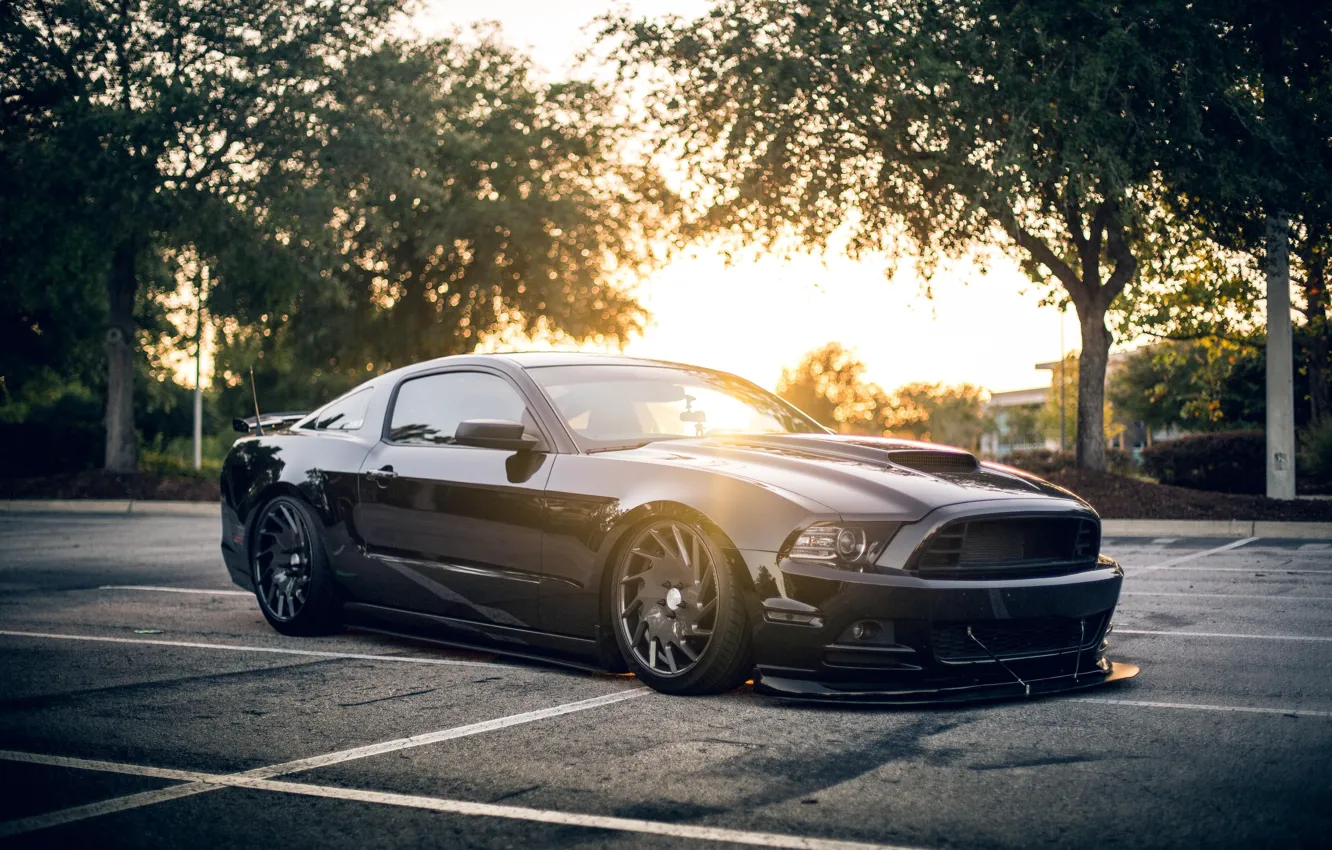 Photo wallpaper car, city, Mustang, Ford, Ford Mustang, Black, vegetaion, Ford Mustang Shellby Black