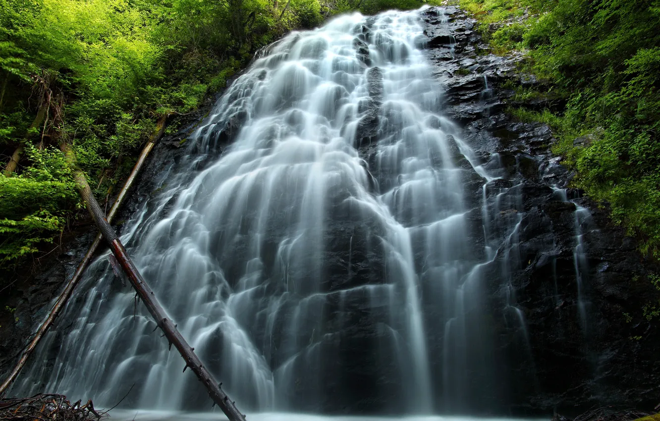 Photo wallpaper greens, forest, trees, stones, rocks, waterfall