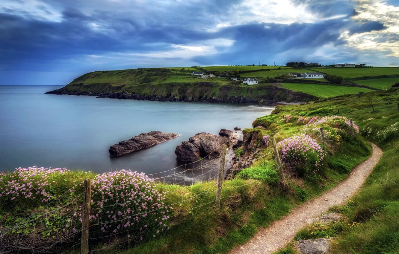 Photo wallpaper sea, summer, the sky, flowers, path