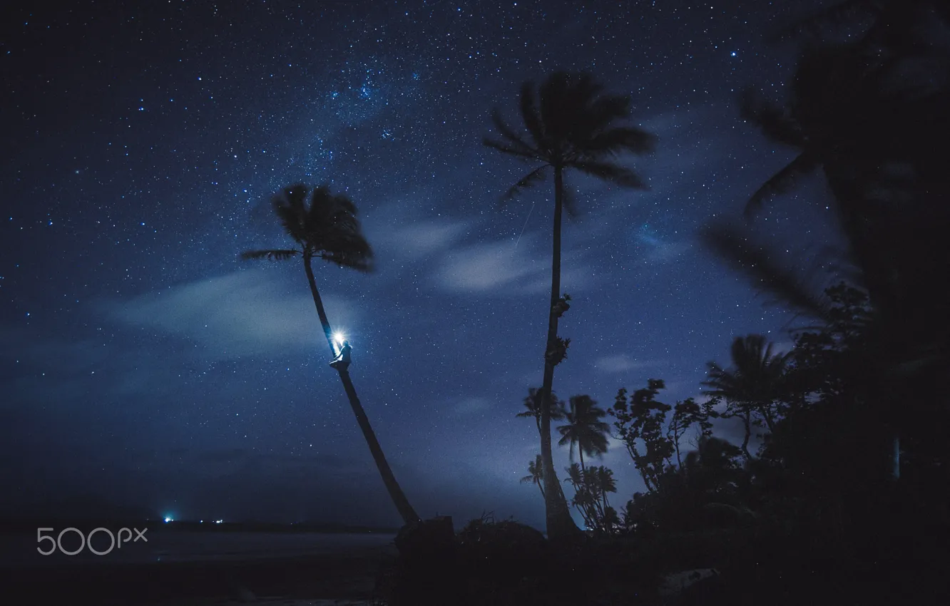 Photo wallpaper the sky, stars, light, night, palm trees, the ocean, people