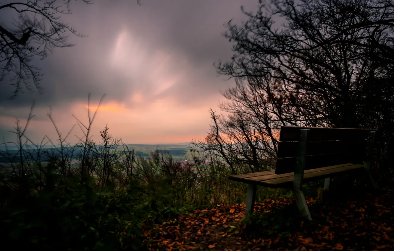 Photo wallpaper the sky, night, bench