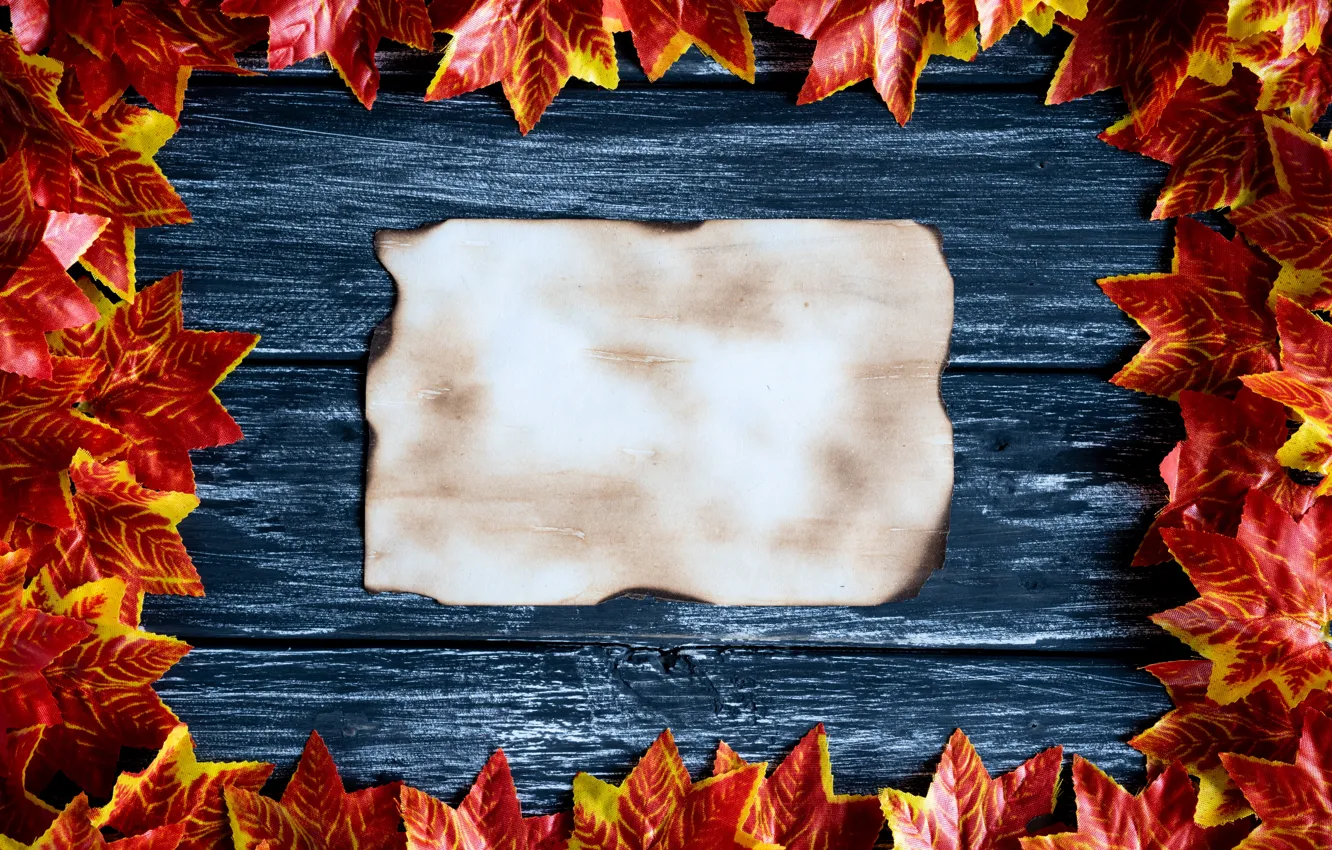 Photo wallpaper autumn, leaves, background, Board, colorful, maple, wood, background