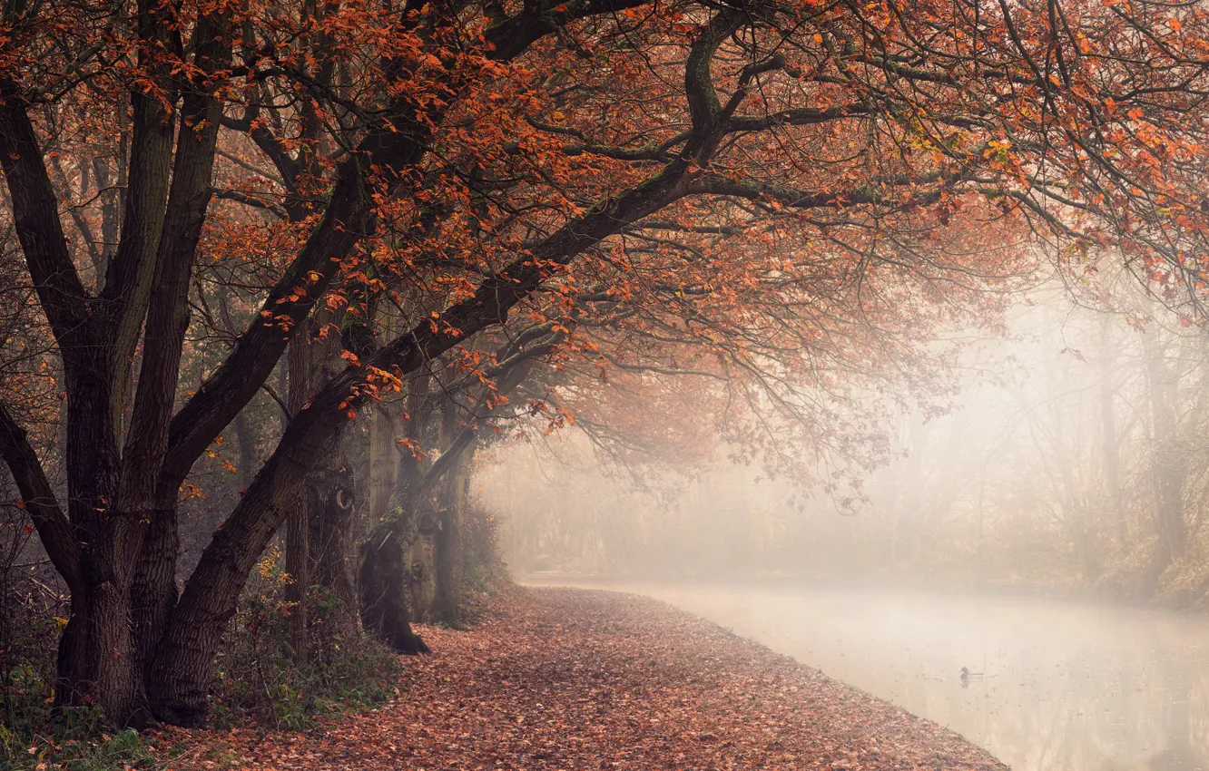 Photo wallpaper England, North Warwickshire District, autumn colours, Polesworth, canal path