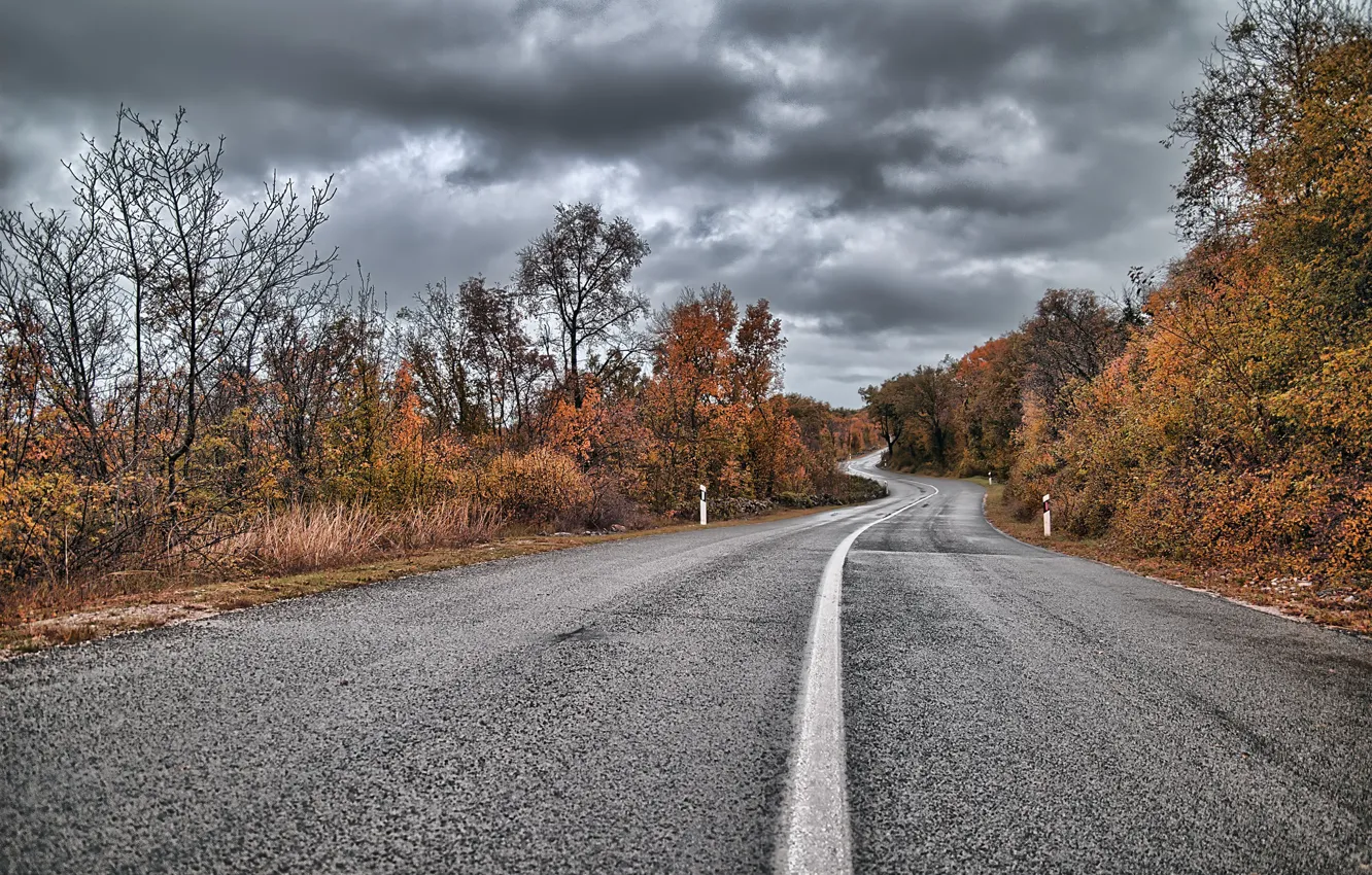 Photo wallpaper road, autumn, cloudy