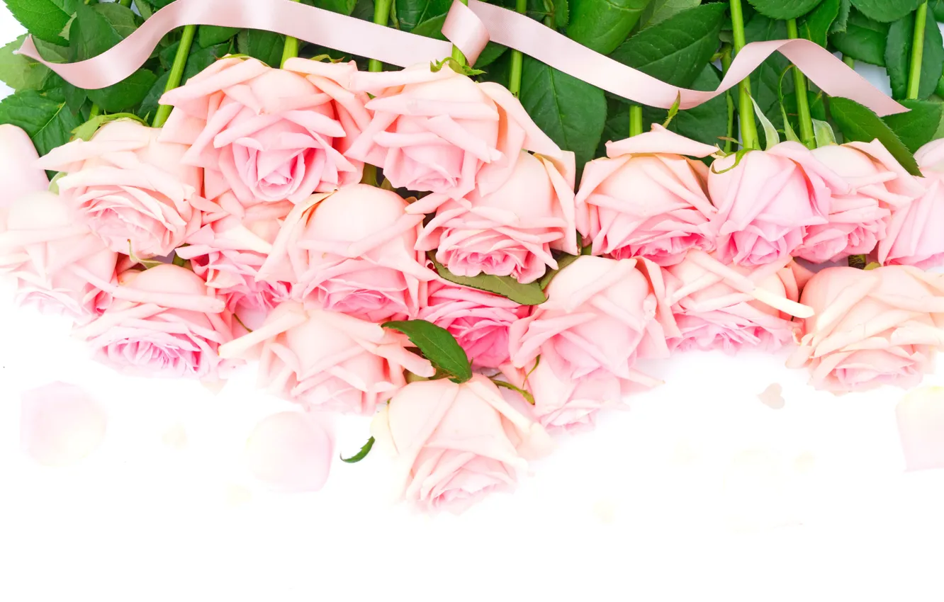 Photo wallpaper roses, bouquet, pink, flowers, roses, pink roses