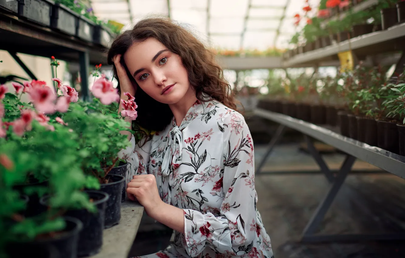Photo wallpaper look, girl, flowers, face, pose, greenhouse, Sergey Olszewski, Alisa Musina
