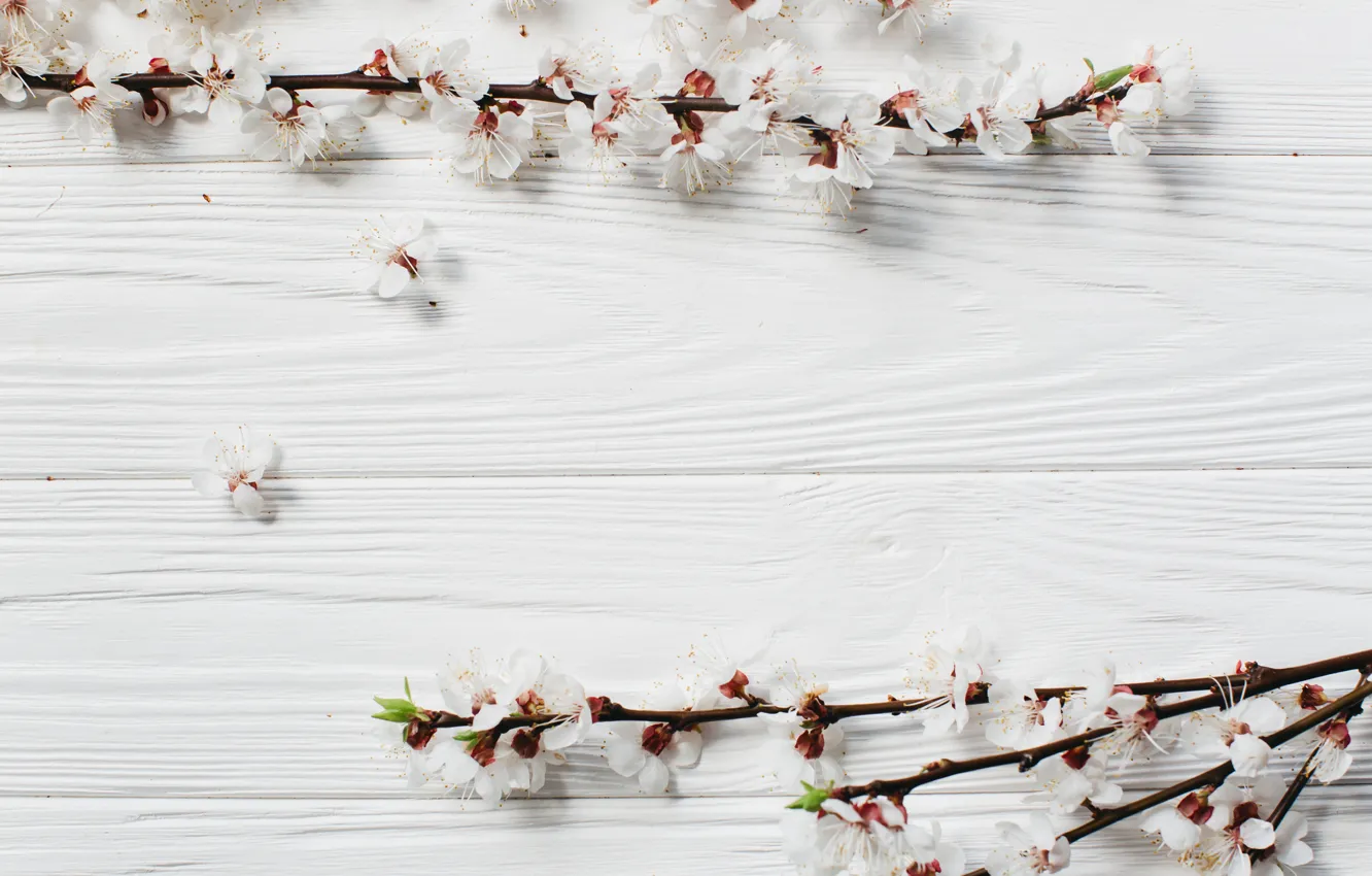 Photo wallpaper Flowers, Spring, Branches, Wooden background