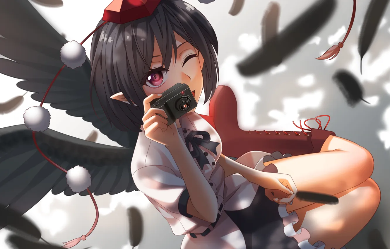Photo wallpaper girl, wings, anime, camera, feathers, art, touhou, shameimaru aya