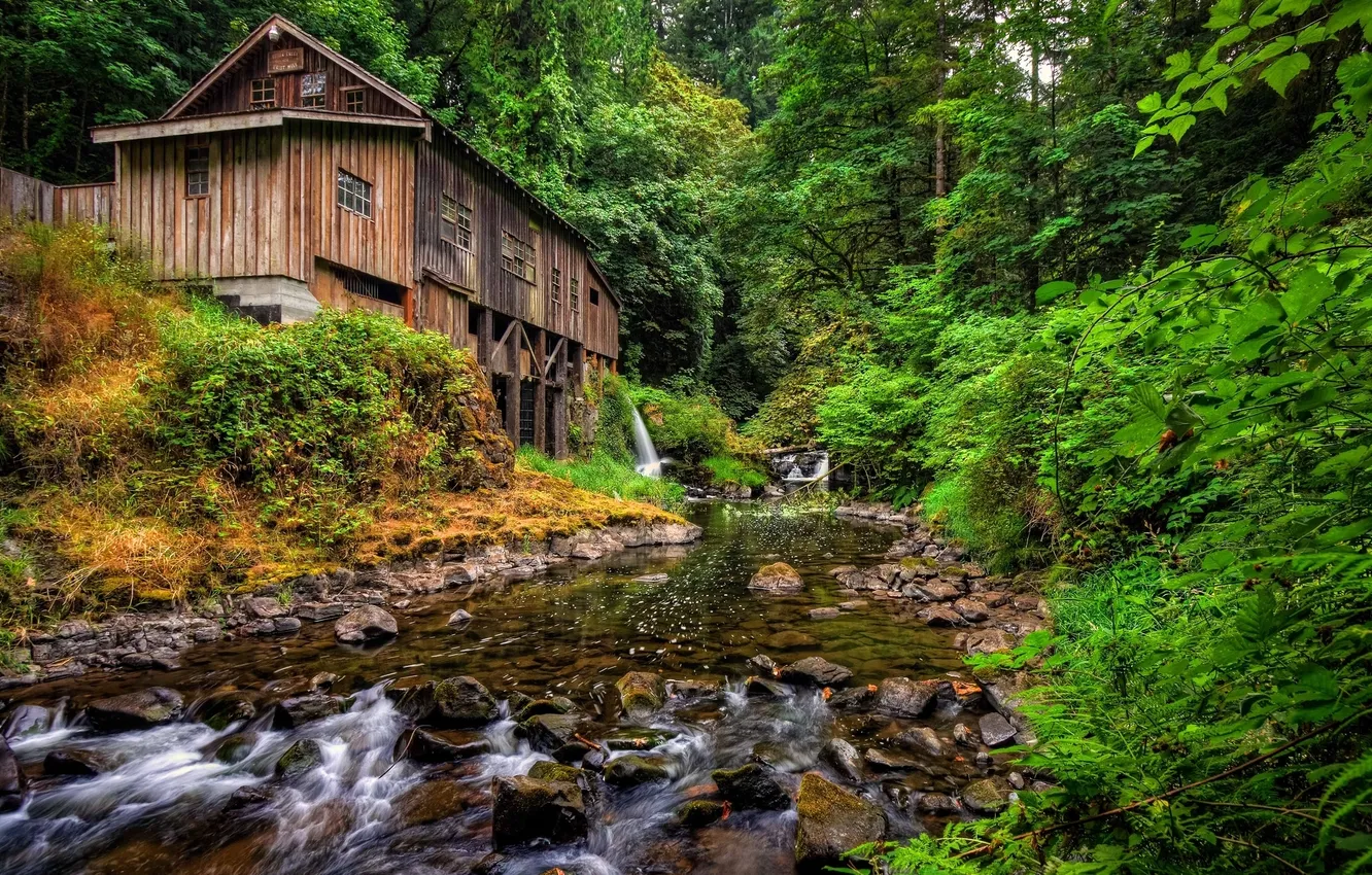 Photo wallpaper forest, river, mill, Washington, Washington, woodland, Woodland, Cedar Creek Grist Mill