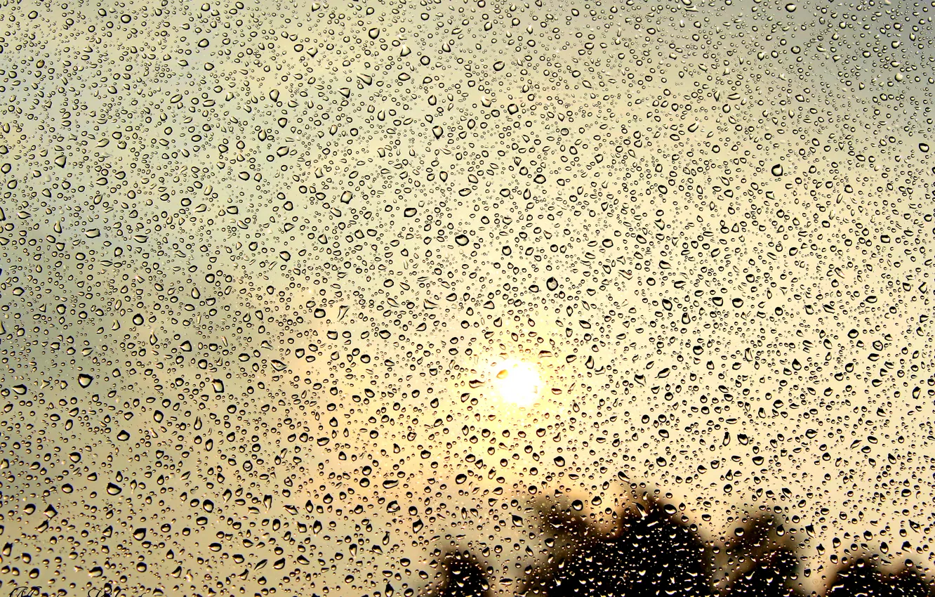 Photo wallpaper summer, the sun, rain, Drops, heat., drops on glass