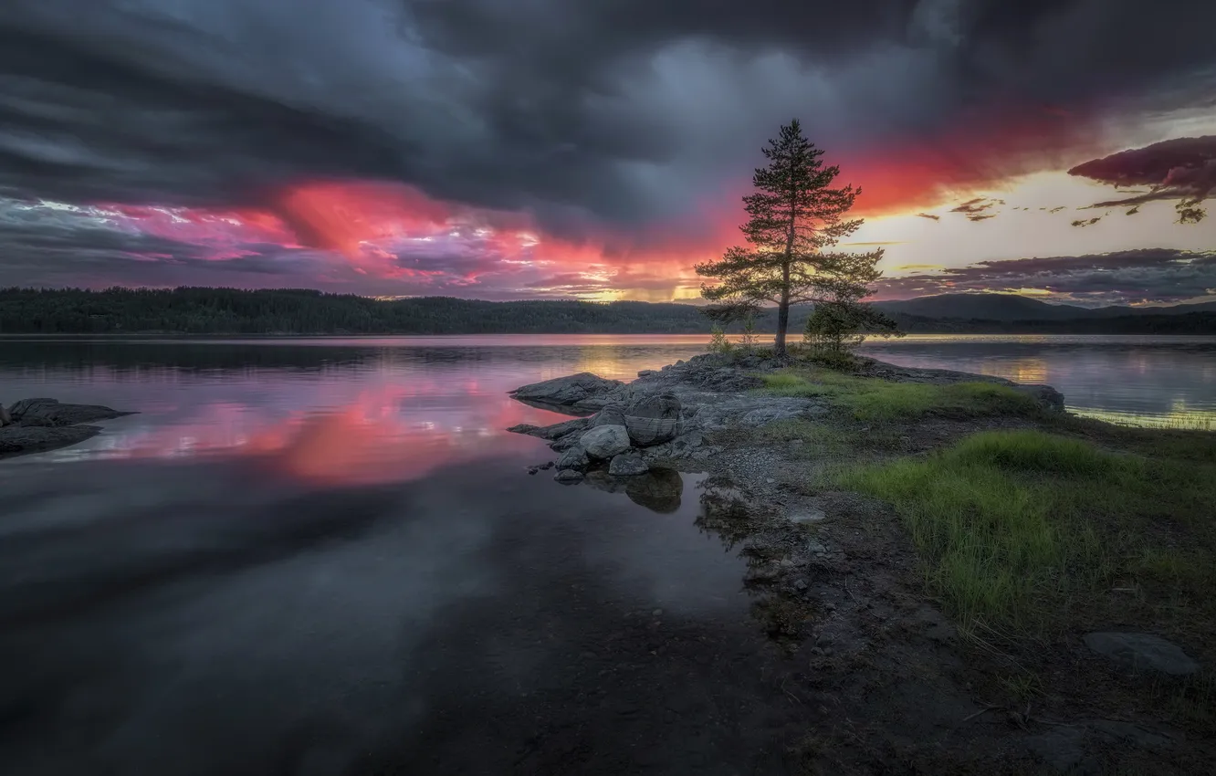 Photo wallpaper trees, sunset, river