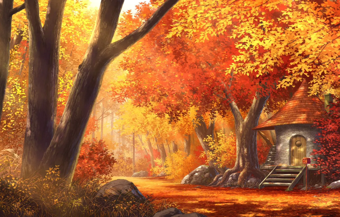 Photo wallpaper forest, nature, sun rays