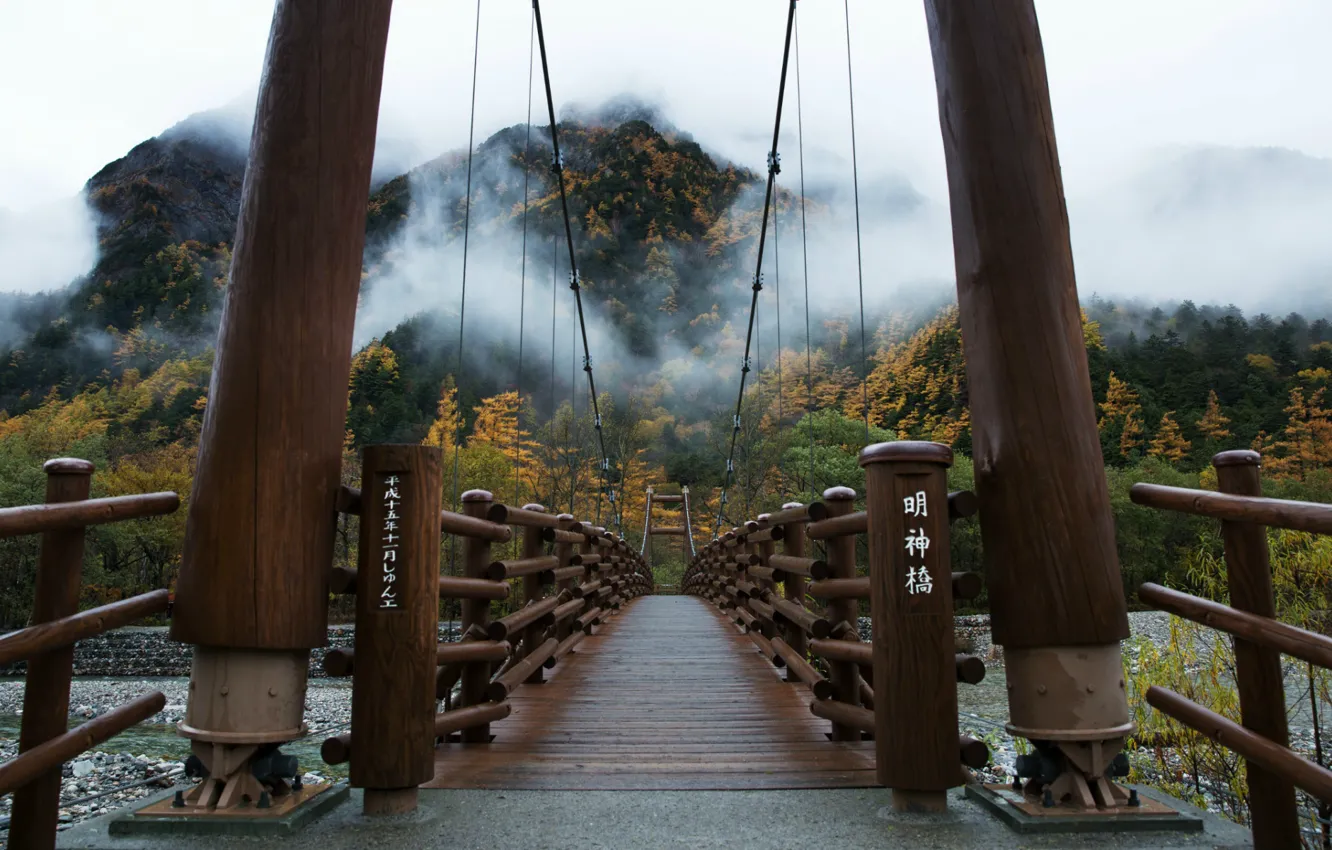 Photo wallpaper trees, bridge, fog, Japan, Japan