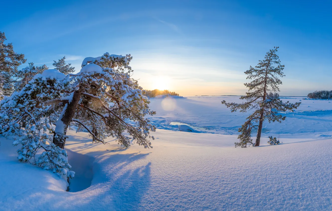 Photo wallpaper winter, snow, trees, dawn, morning, the snow, Finland, Finland