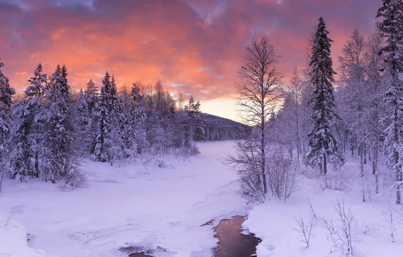 Photo wallpaper winter, forest, clouds, snow, trees, stream, the evening, Finland