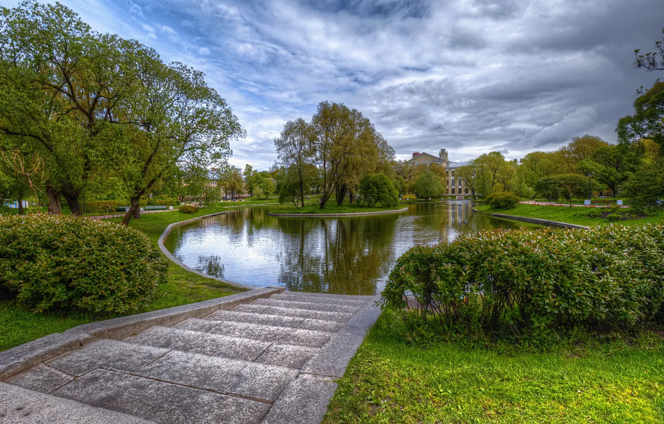 Photo wallpaper trees, pond, Park, photo, Saint Petersburg, Russia, the bushes