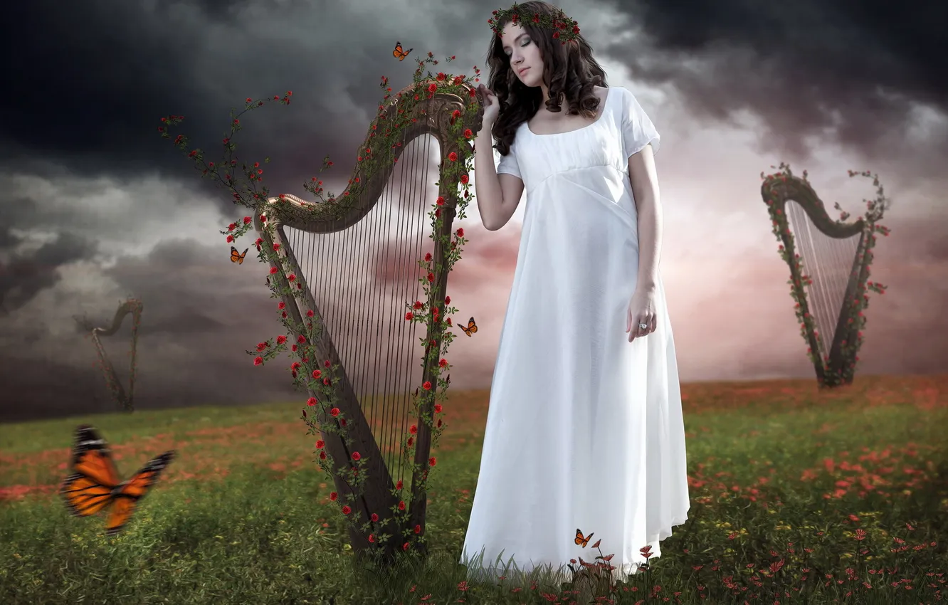 Photo wallpaper girl, flowers, photomanipulation, roses, butterflies