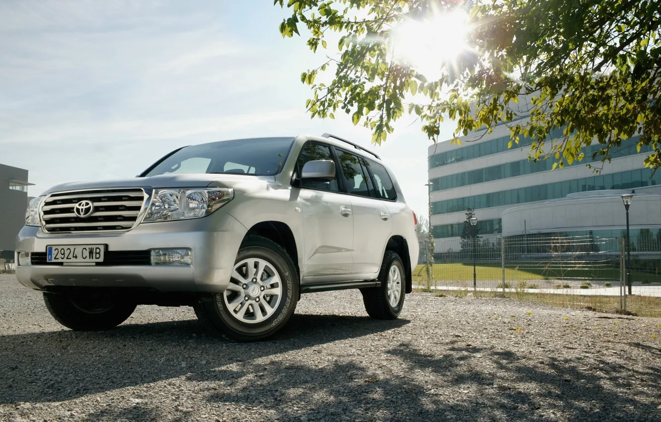 Photo wallpaper white, the sun, trees, grey, lights, the fence, building, large