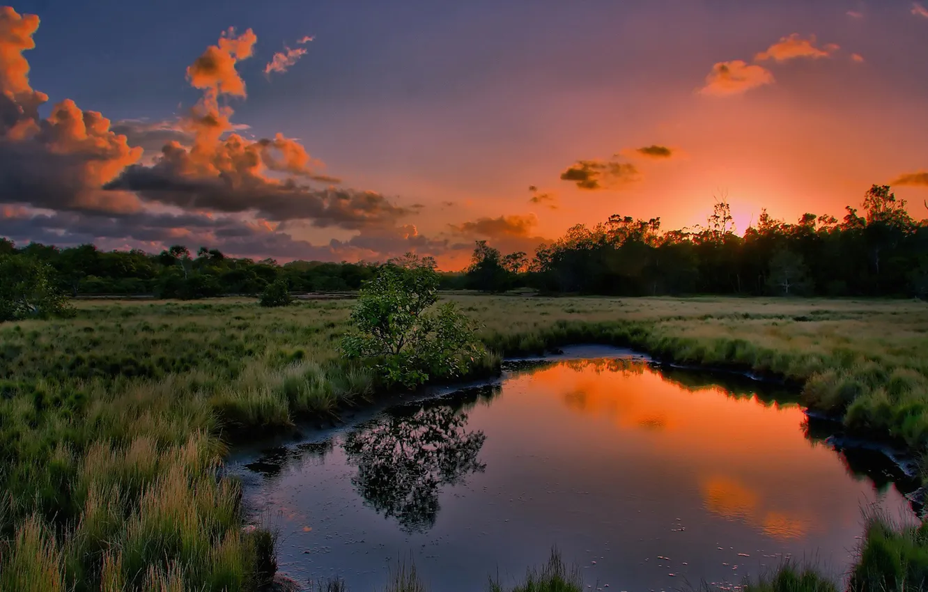 Photo wallpaper forest, water, clouds, sunset