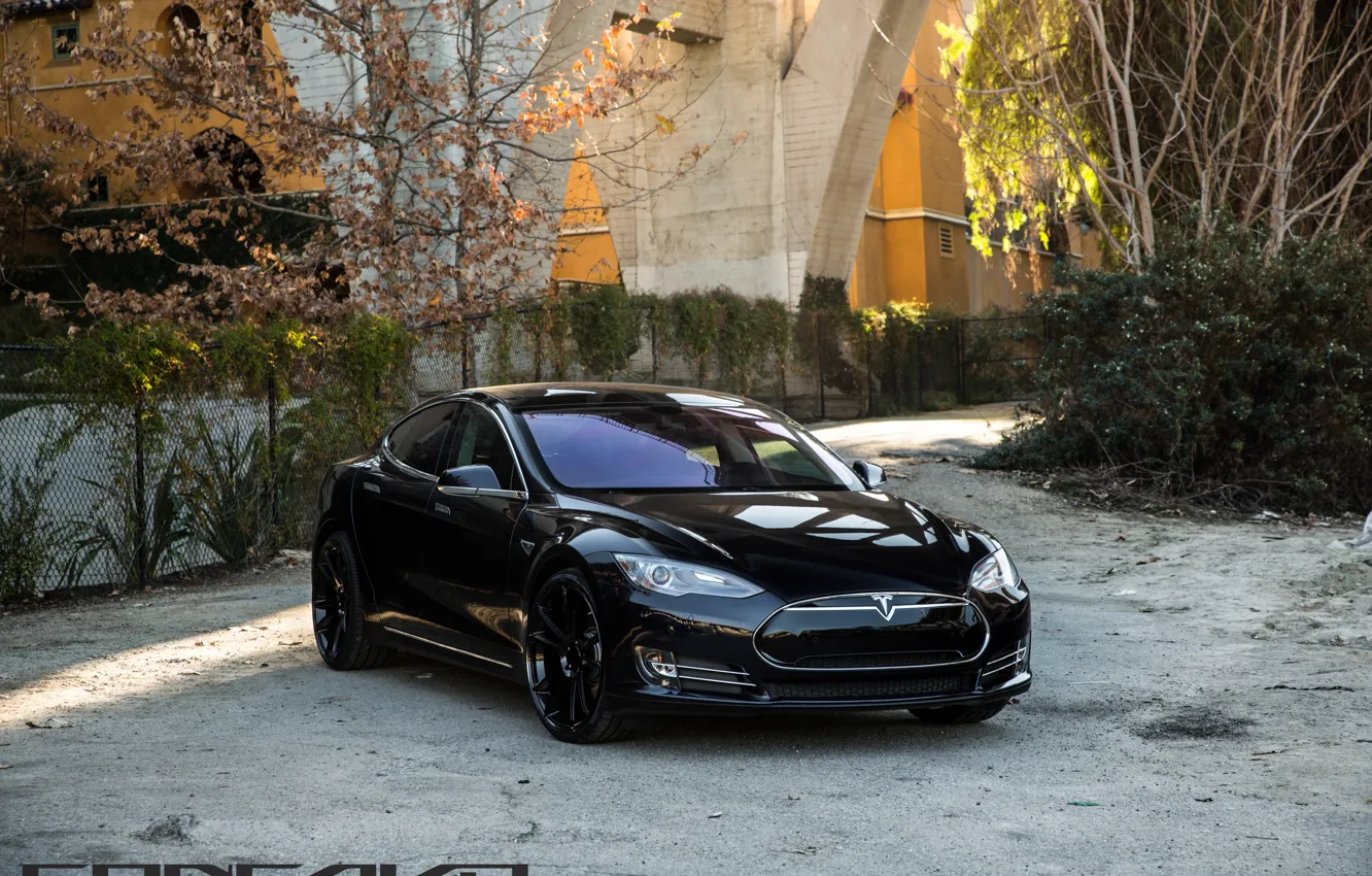 Photo wallpaper machine, autumn, trees, optics, before, auto, Black, Tesla