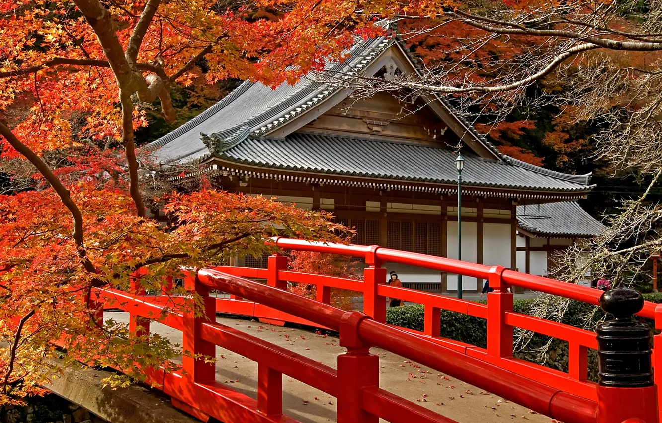 Photo wallpaper road, autumn, leaves, trees, bridge, Japan, temple, Japan