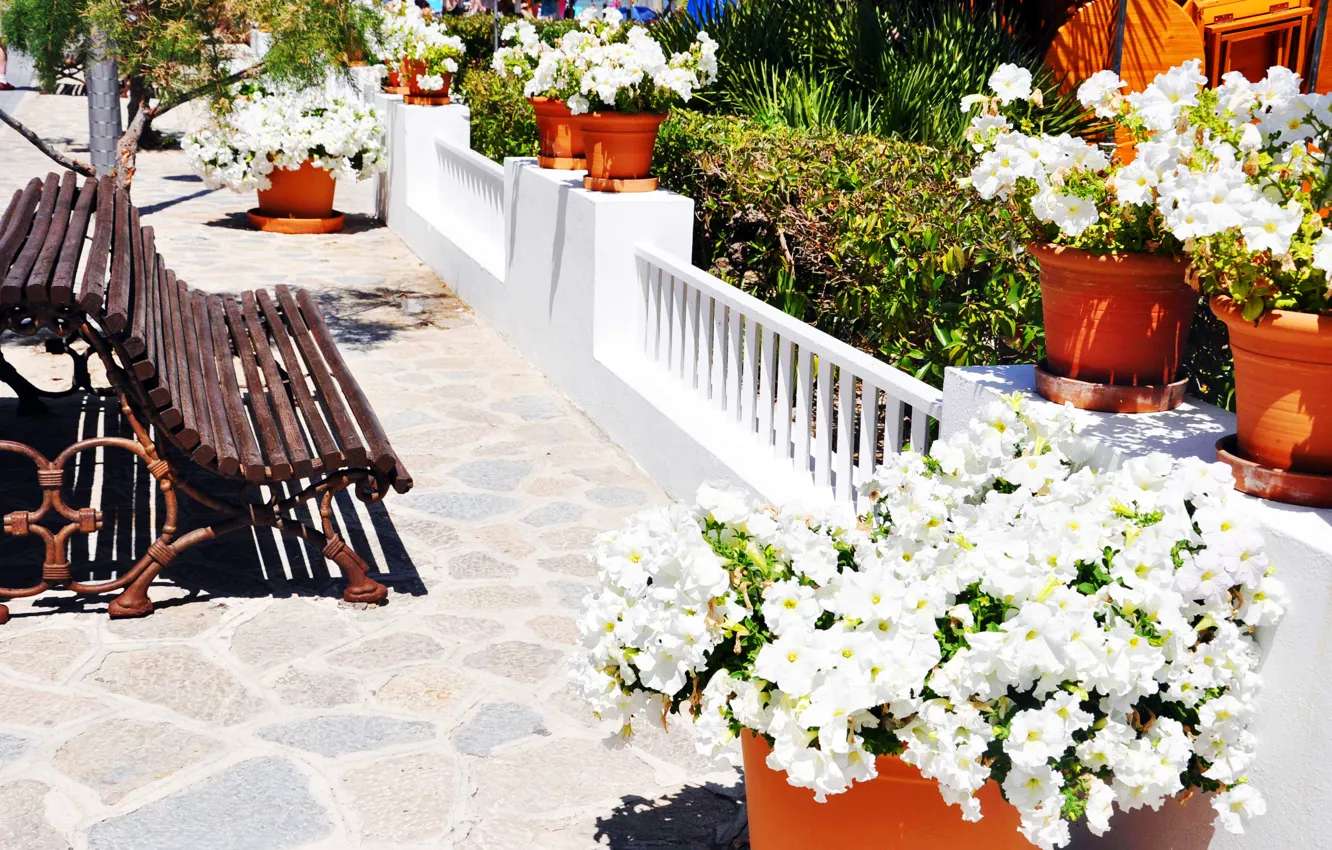 Photo wallpaper sea, flowers, the city, shop, shop