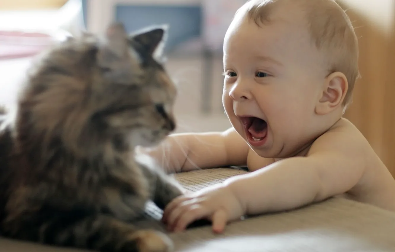 Photo wallpaper joy, baby, Kote