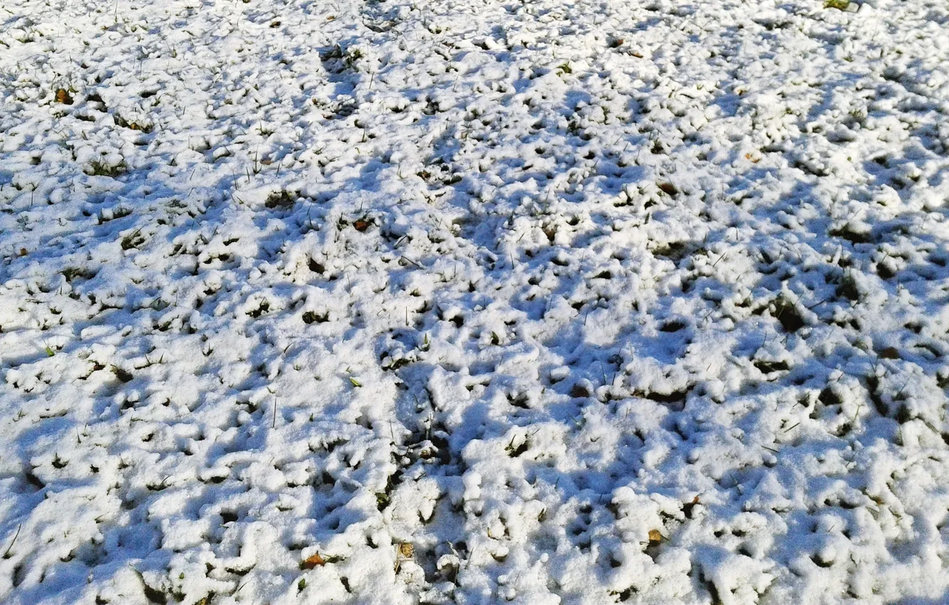 Photo wallpaper landscape, the first snow, November 2024