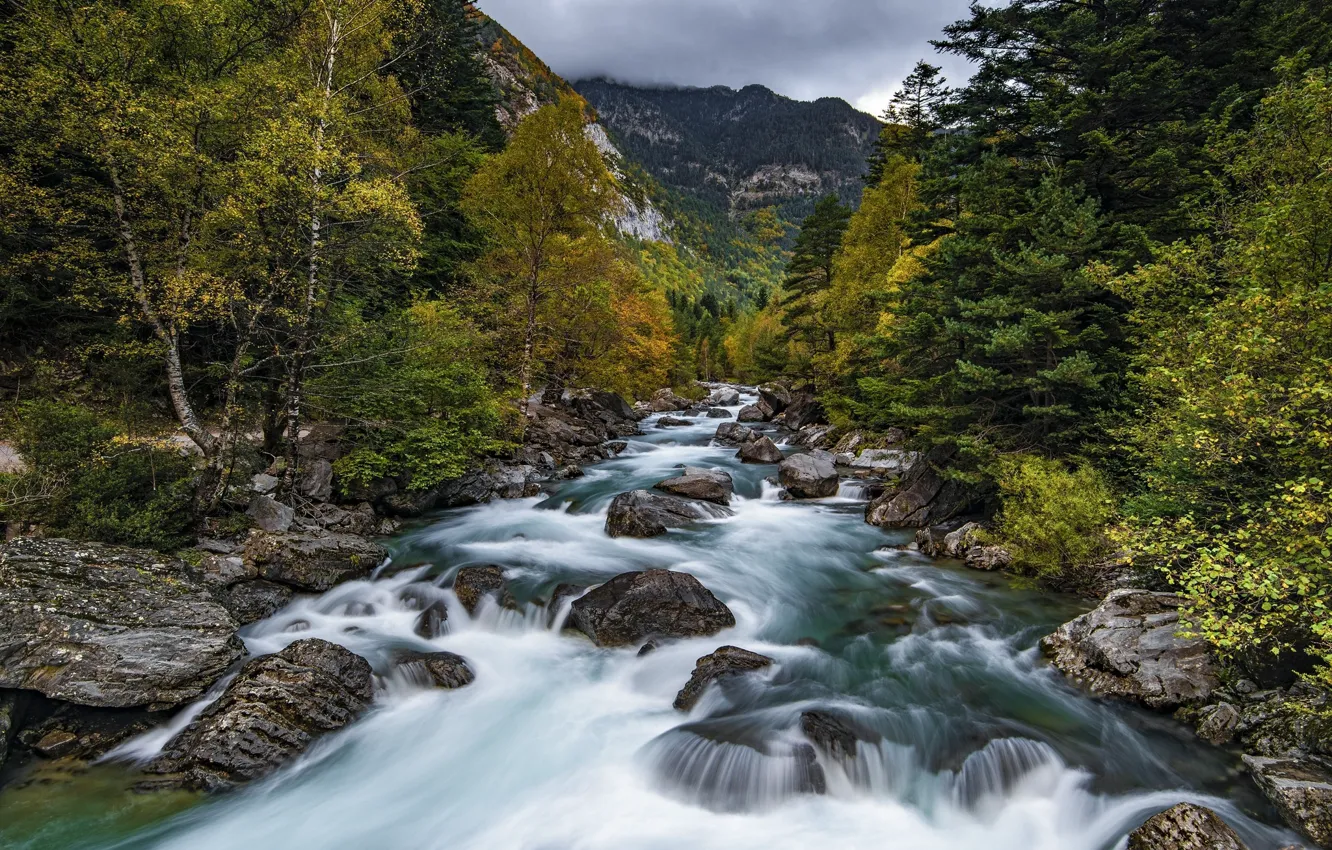 Photo wallpaper landscape, nature, river, rages