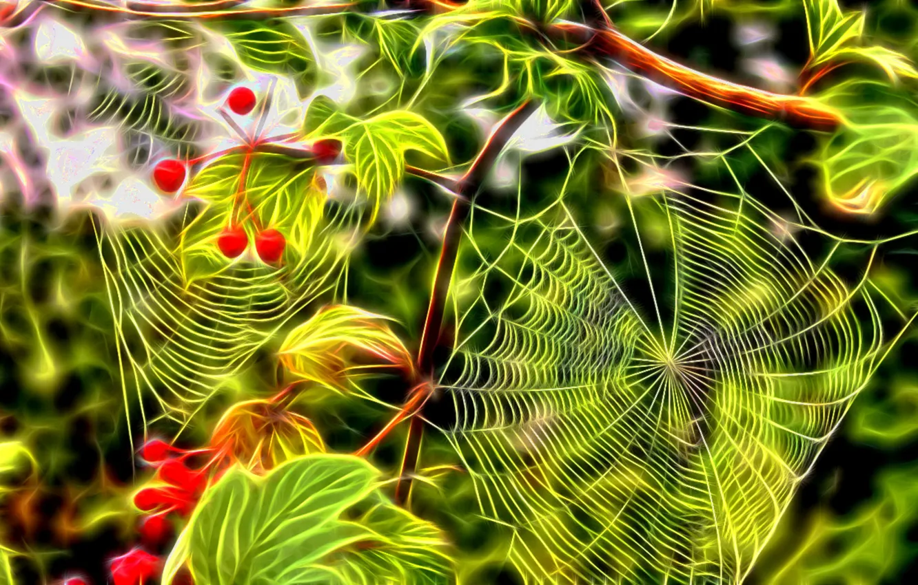 Photo wallpaper leaves, bright colors, branches, berries, rendering, web, Bush viburnum, fractal glow
