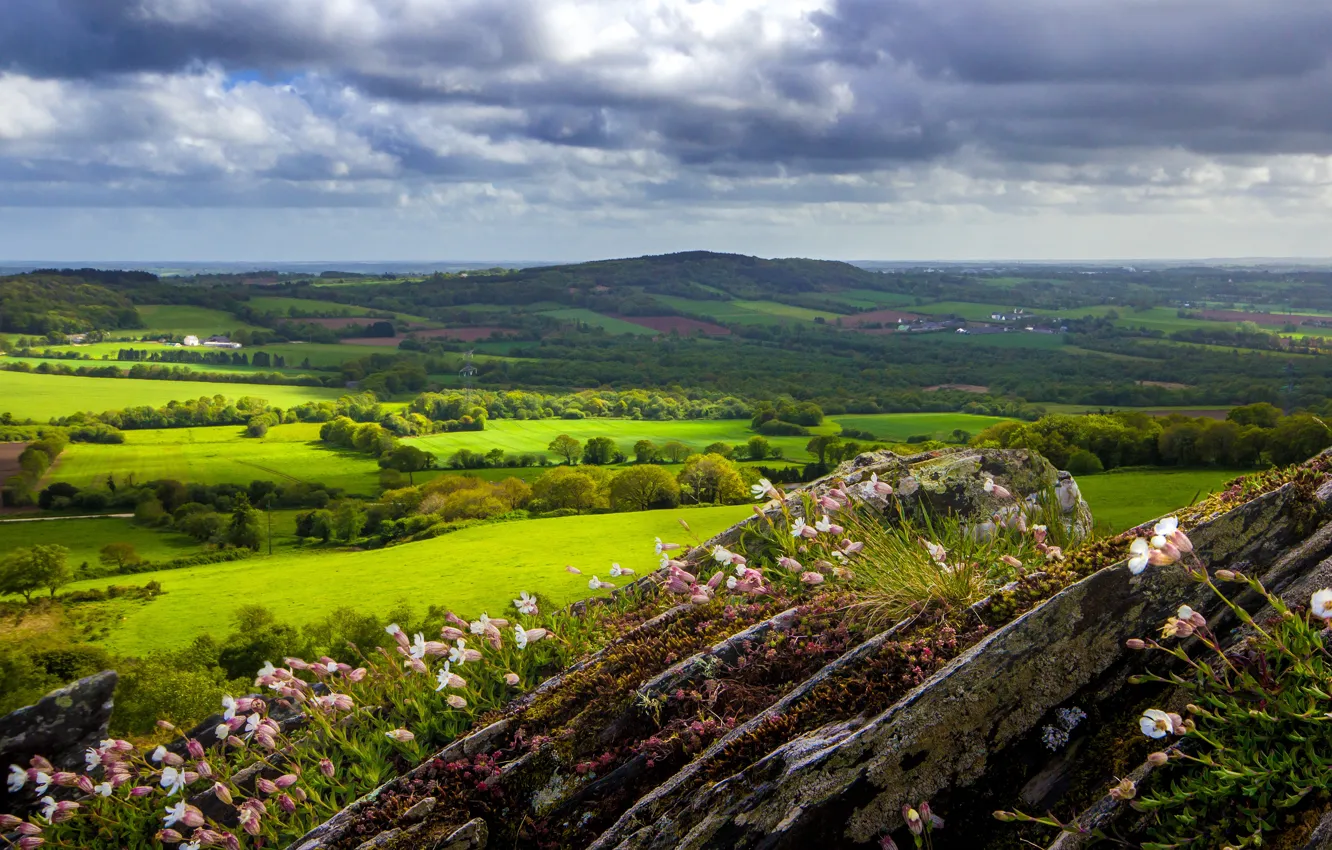 Photo wallpaper greens, field, forest, summer, the sky, clouds, flowers, hills
